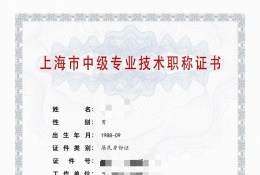 案例展示-2023年轻工中级职称（电气）