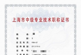 案例展示-2023年仪电中级职称（新型电子器件）