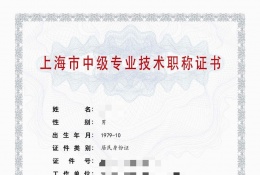 中级证书-2023年浦东机电中级职称  化工（化工过程控制与装备）