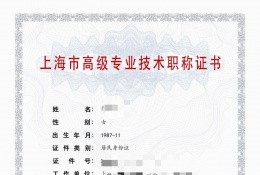 高级证书-2023年高级轻工职称（环保）