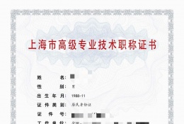 高级证书-2023年高级仪电职称（智能控制系统集成）