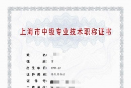案例展示-2023年仪电中级职称（智能精密检测仪器）